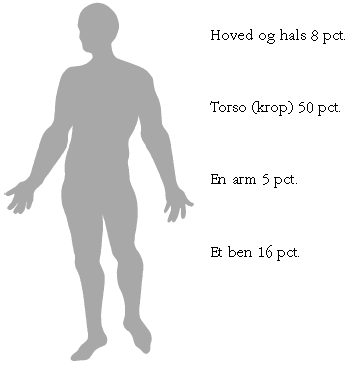 Illustration af kroppen og procentfordeling