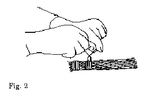 IMG00002 gif